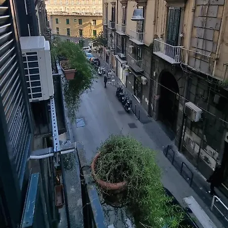 L'arnia * Nápoles