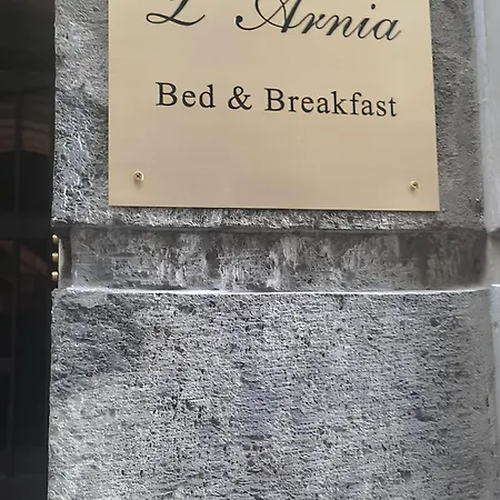 L'arnia *